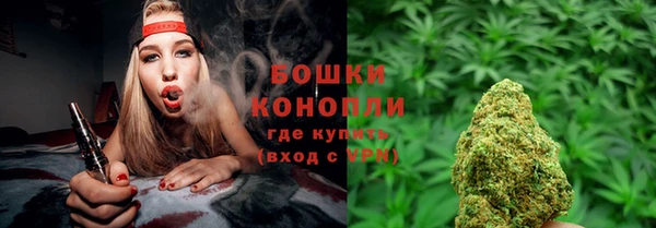 PSILOCYBIN Абаза