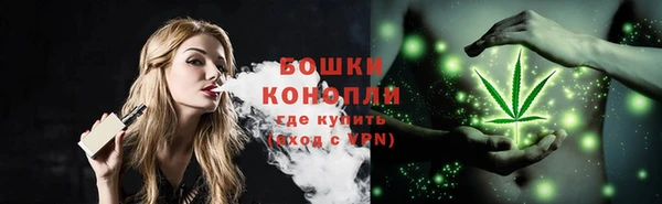 PSILOCYBIN Абаза