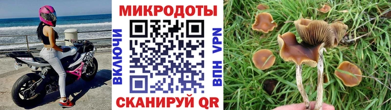 Галлюциногенные грибы Cubensis  купить   Петушки 